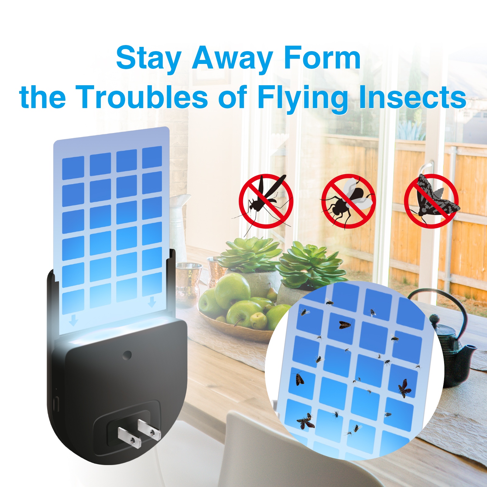 Gnat Trap for House Plug in, E - Lighting Jockey 评论和价格