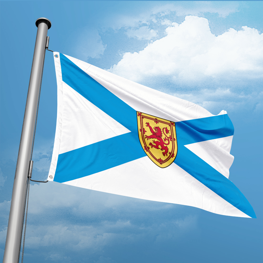 Canada Flag of Nova Scotia 3ft - Nova Decor & Lighting Vase 评论和价格