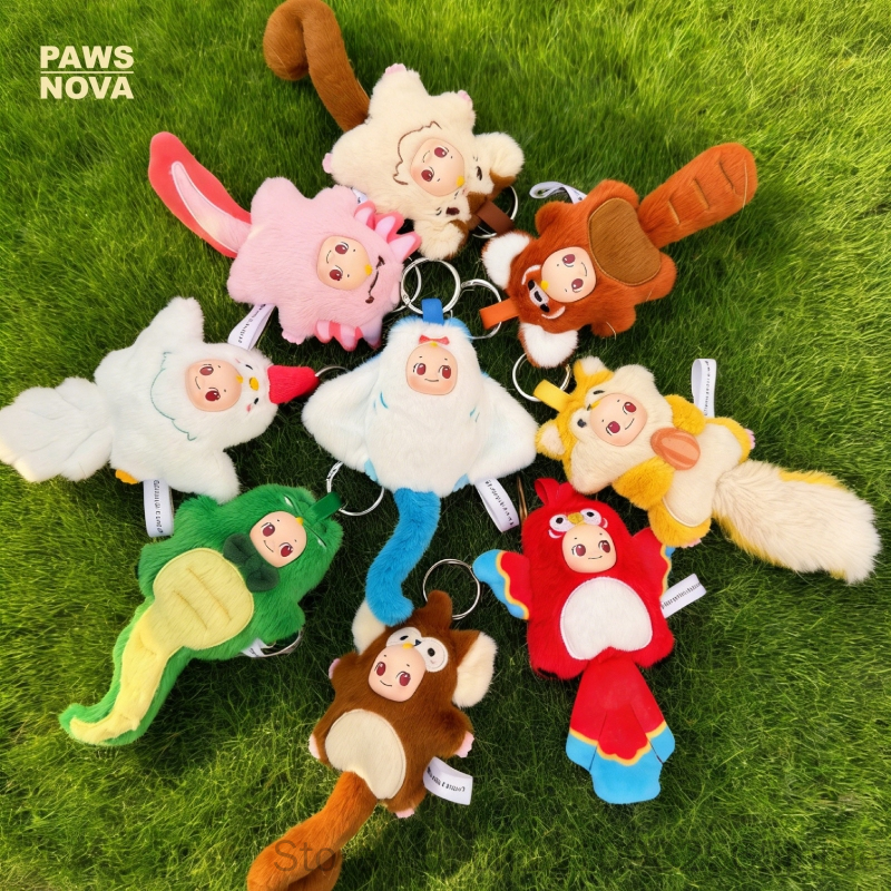 Paws Nova Authentic Official K - Nova Decor & Lighting Vase 评论和价格
