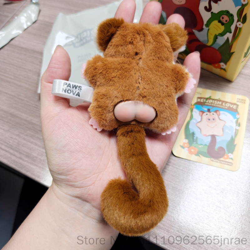 Paws Nova Authentic Official K - Nova Decor & Lighting Vase 评论和价格
